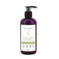 Glamveda Tea Tree Shampoo | Grocsy