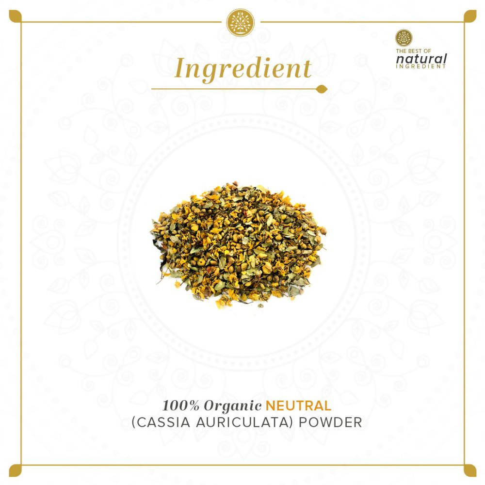 Khadi Natural Organic Neutral Powder | Grocsy