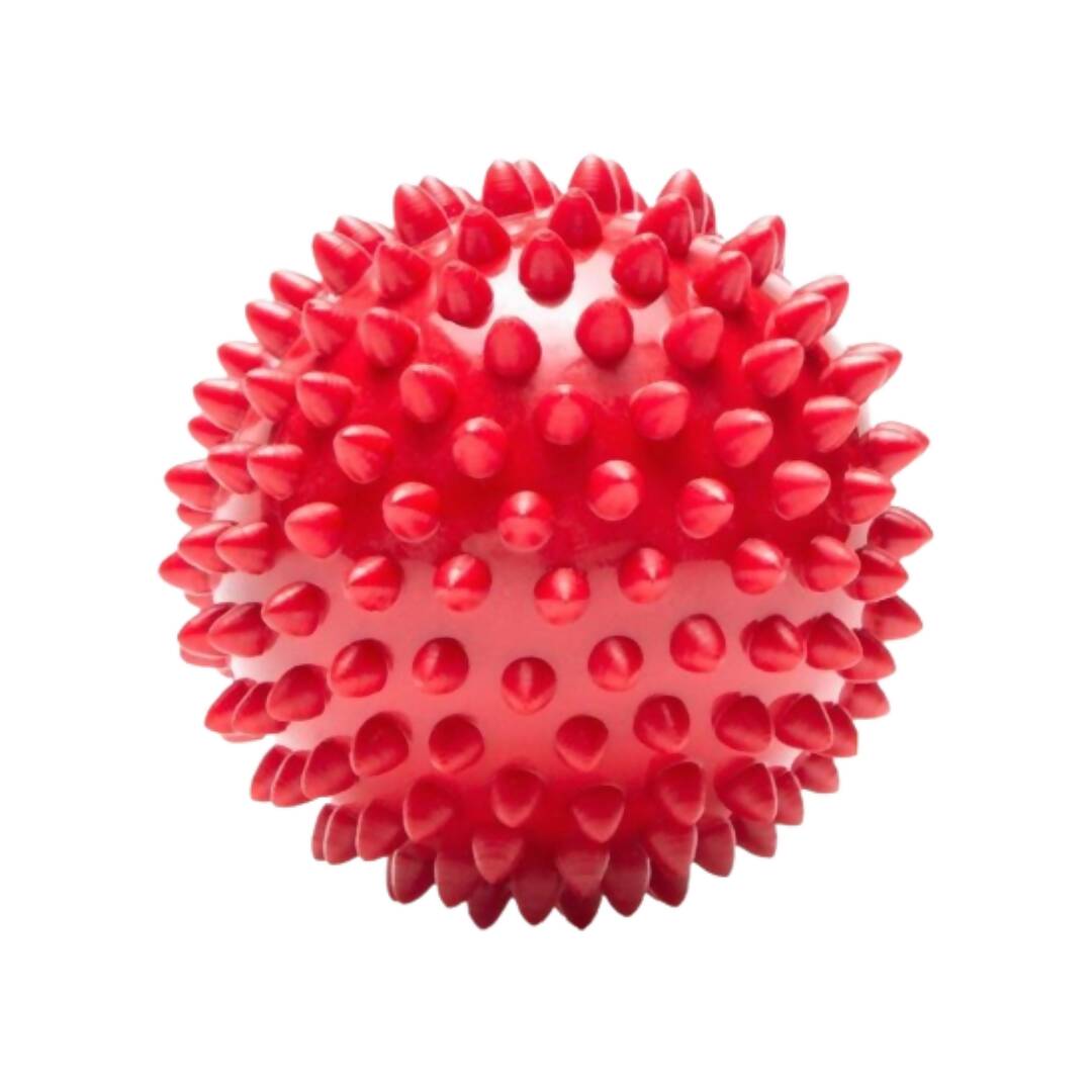 The Dogs Company Natural Rubber Spiked Ball Dog Chew Toy | Grocsy