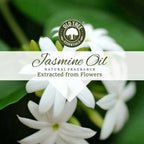 Old Tree Jasmine Essential Oil | Grocsy