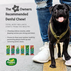 Happi Doggy Dental Chew Zest - Orange | Grocsy