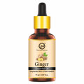 Nuerma Science Pure Ginger Oil For Skin, Body & Hair Care | Grocsy