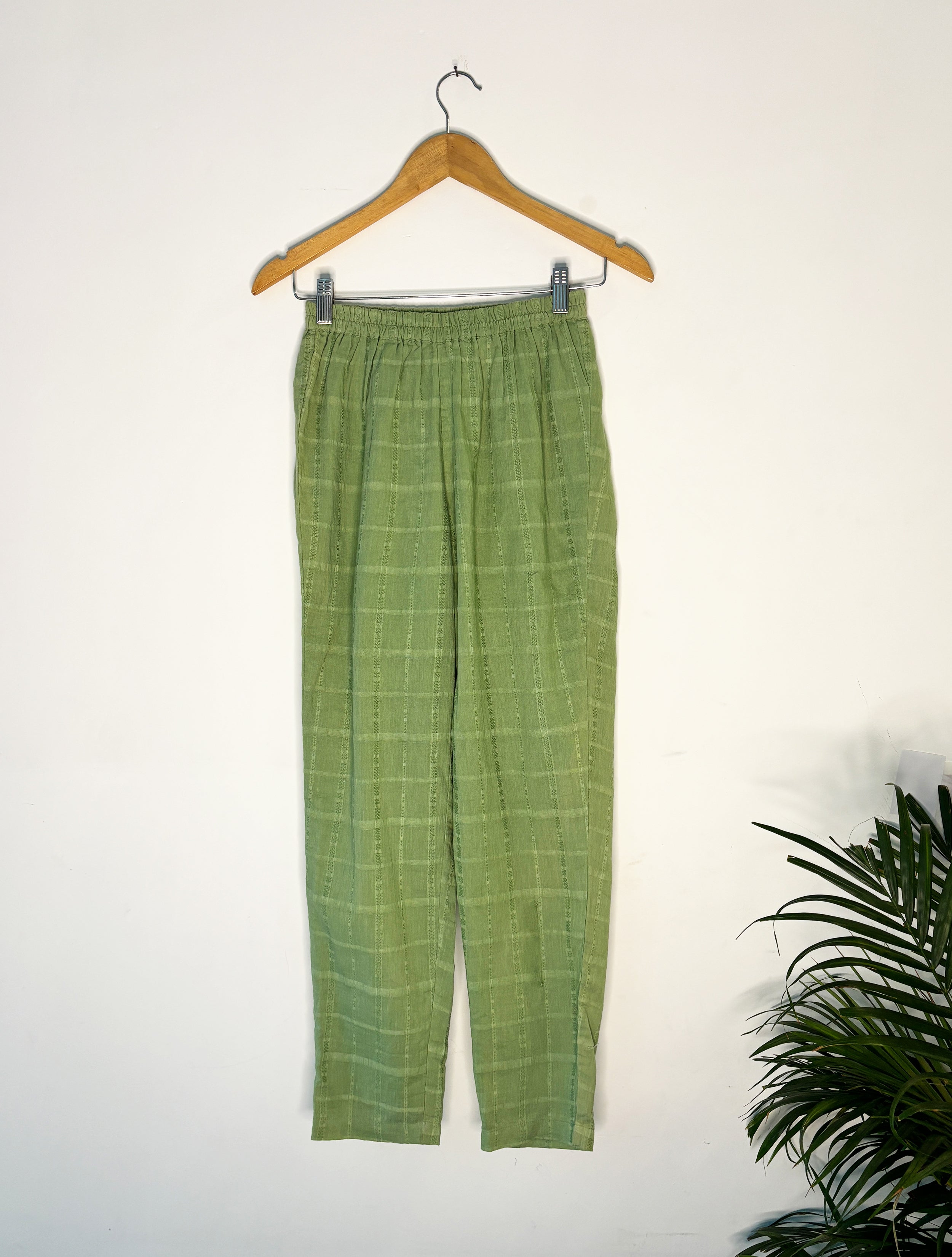 trueBrowns Light Green Cotton Dobby Pants | Grocsy