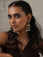 trueBrowns Silver Gold Tone Dangle Earrings | Grocsy