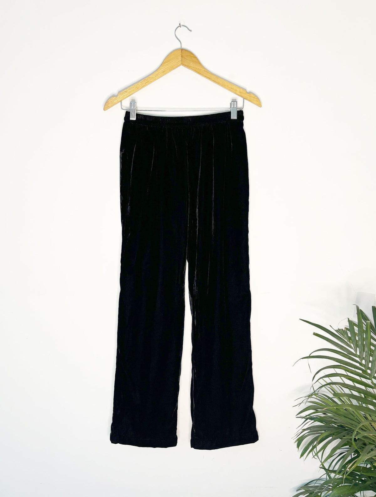 trueBrowns Black Velvet Pant | Grocsy
