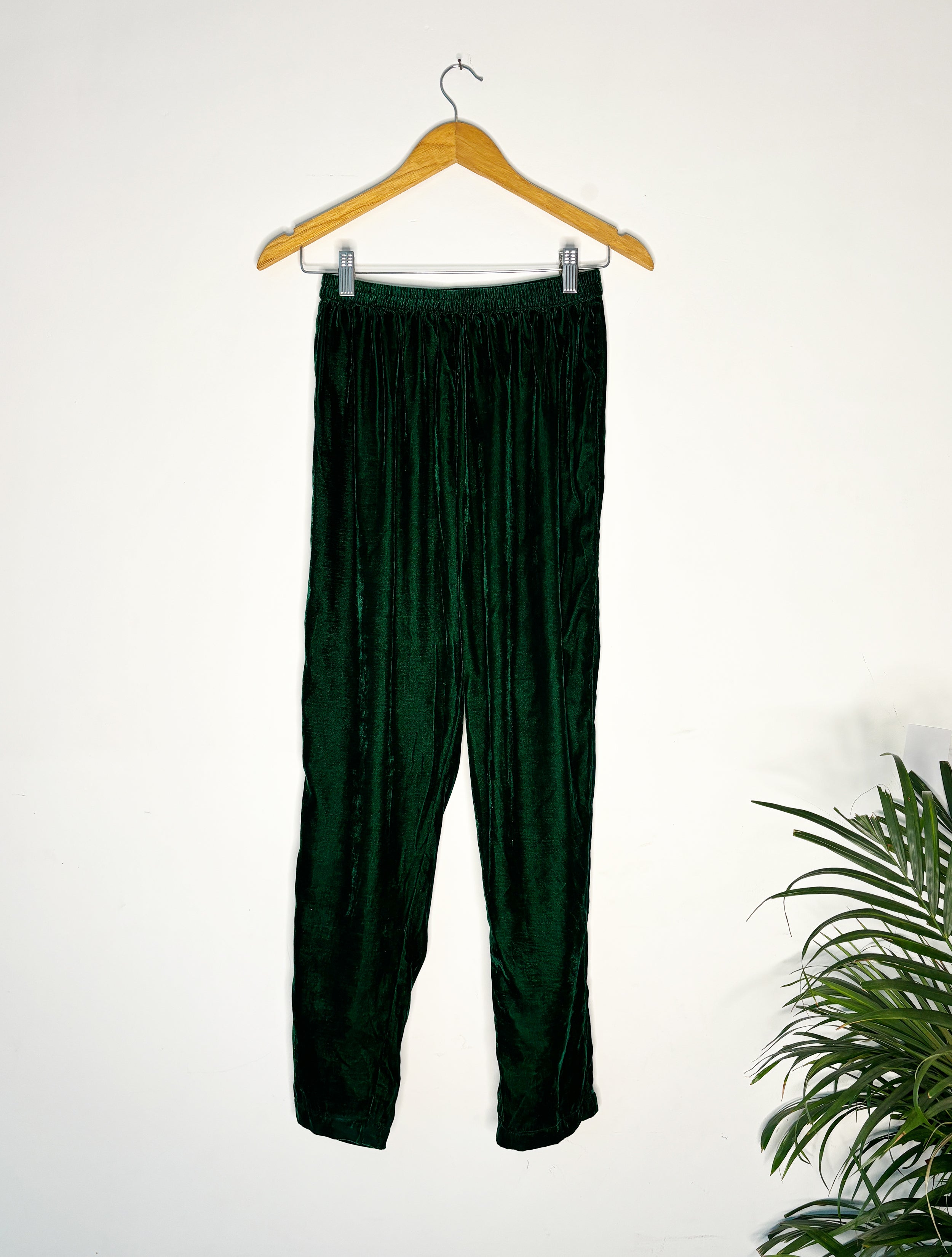 trueBrowns Green Velvet Pant | Grocsy
