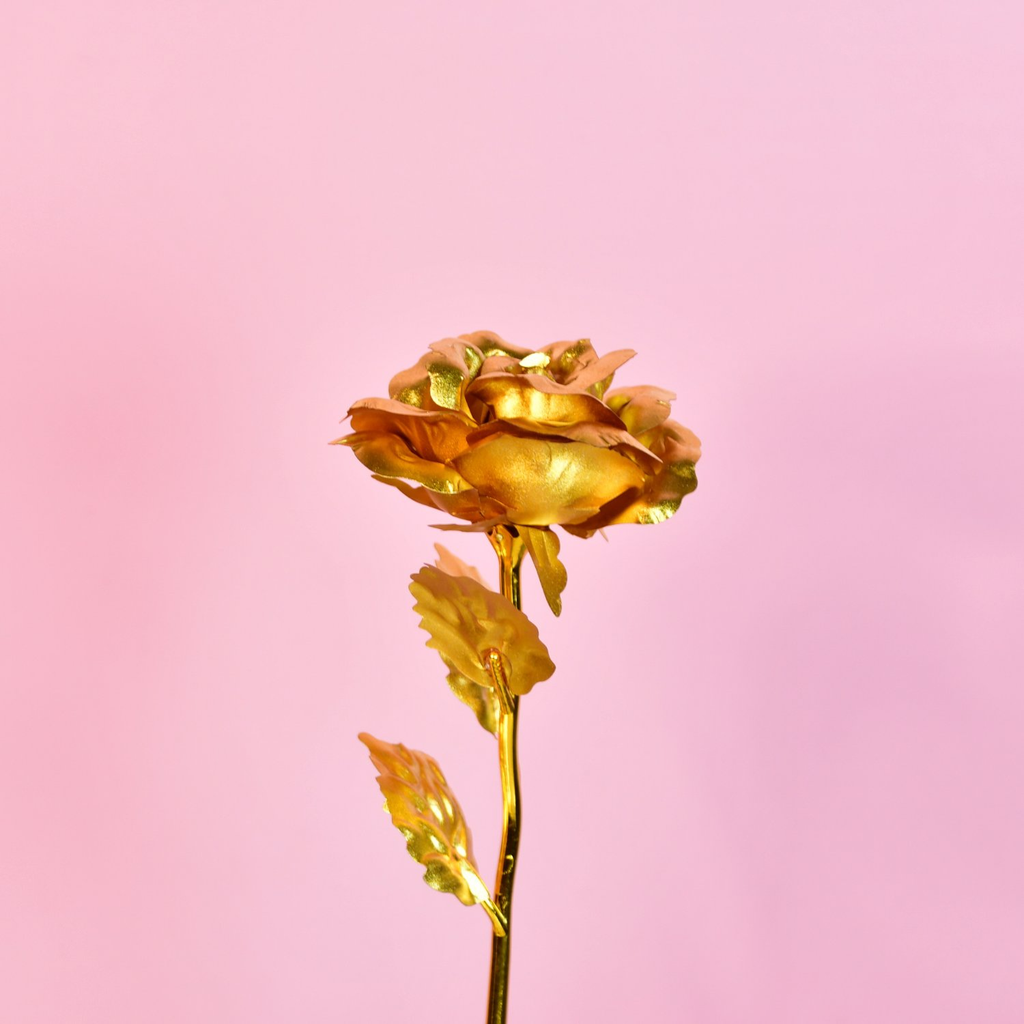 Sowpeace Golden Love | Grocsy