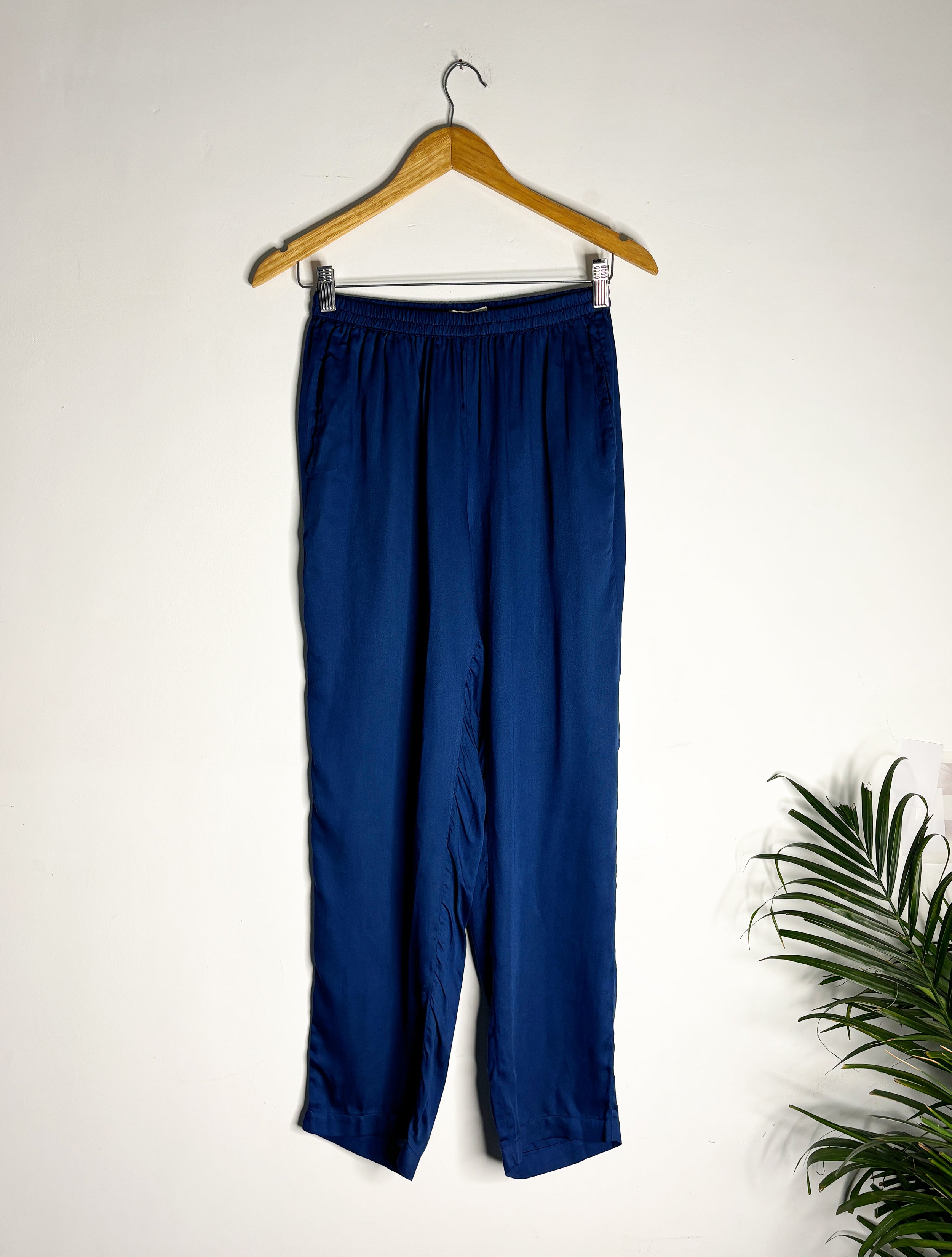 trueBrowns Blue Pant | Grocsy