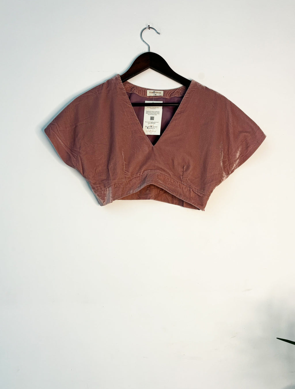 trueBrowns Light Pink Velvet Blouse | Grocsy
