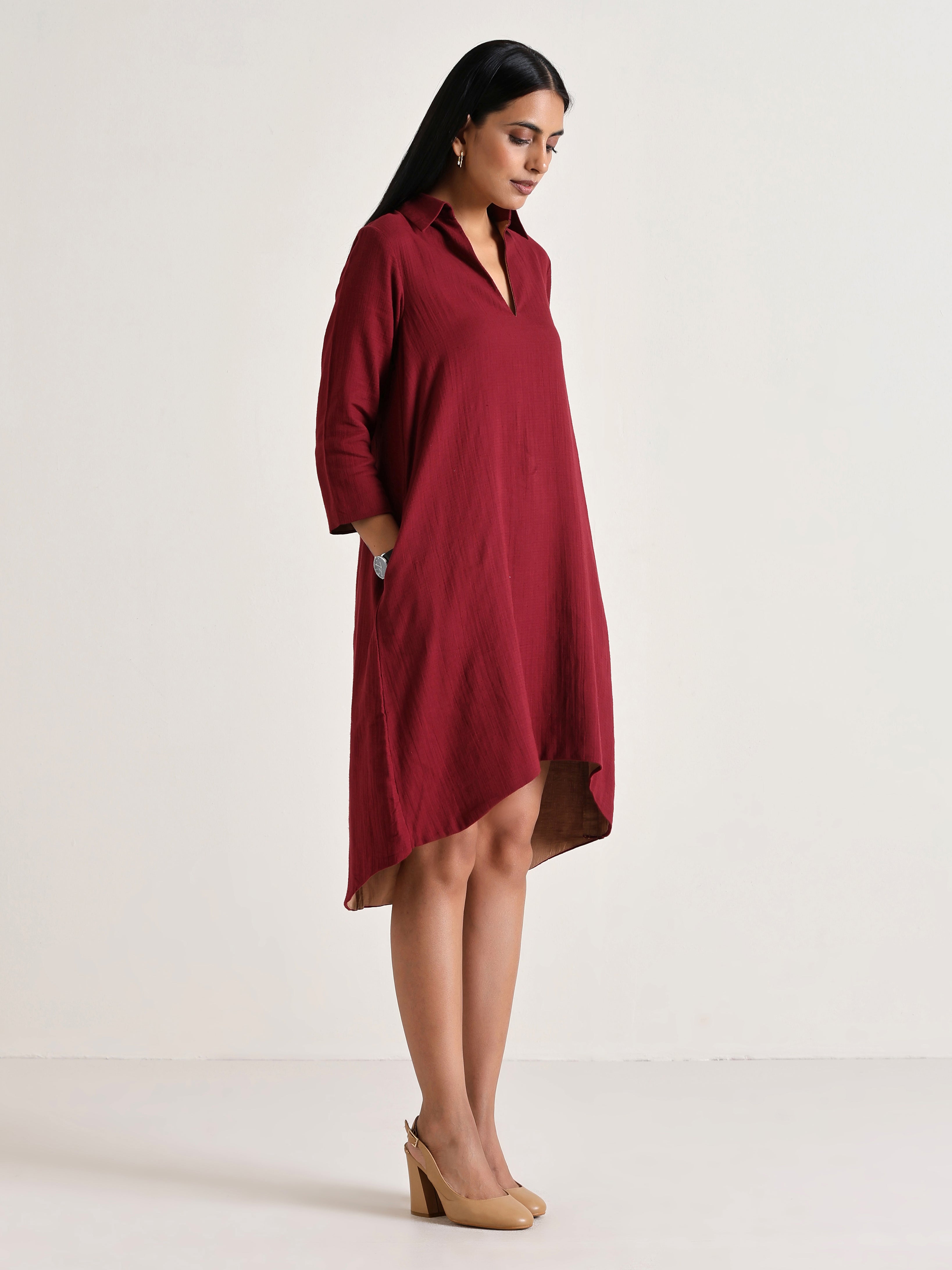 trueBrowns Maroon Short Collared Dress | Grocsy