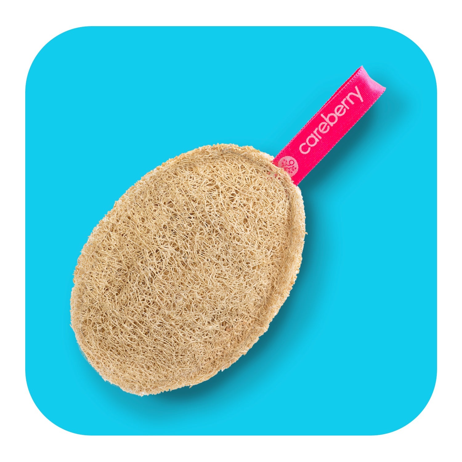 Careberry Earth-Embrace Exfoliating Loofah| Body Sponge Scrubber for Bathing | Bath Luffa Sponges | Grocsy