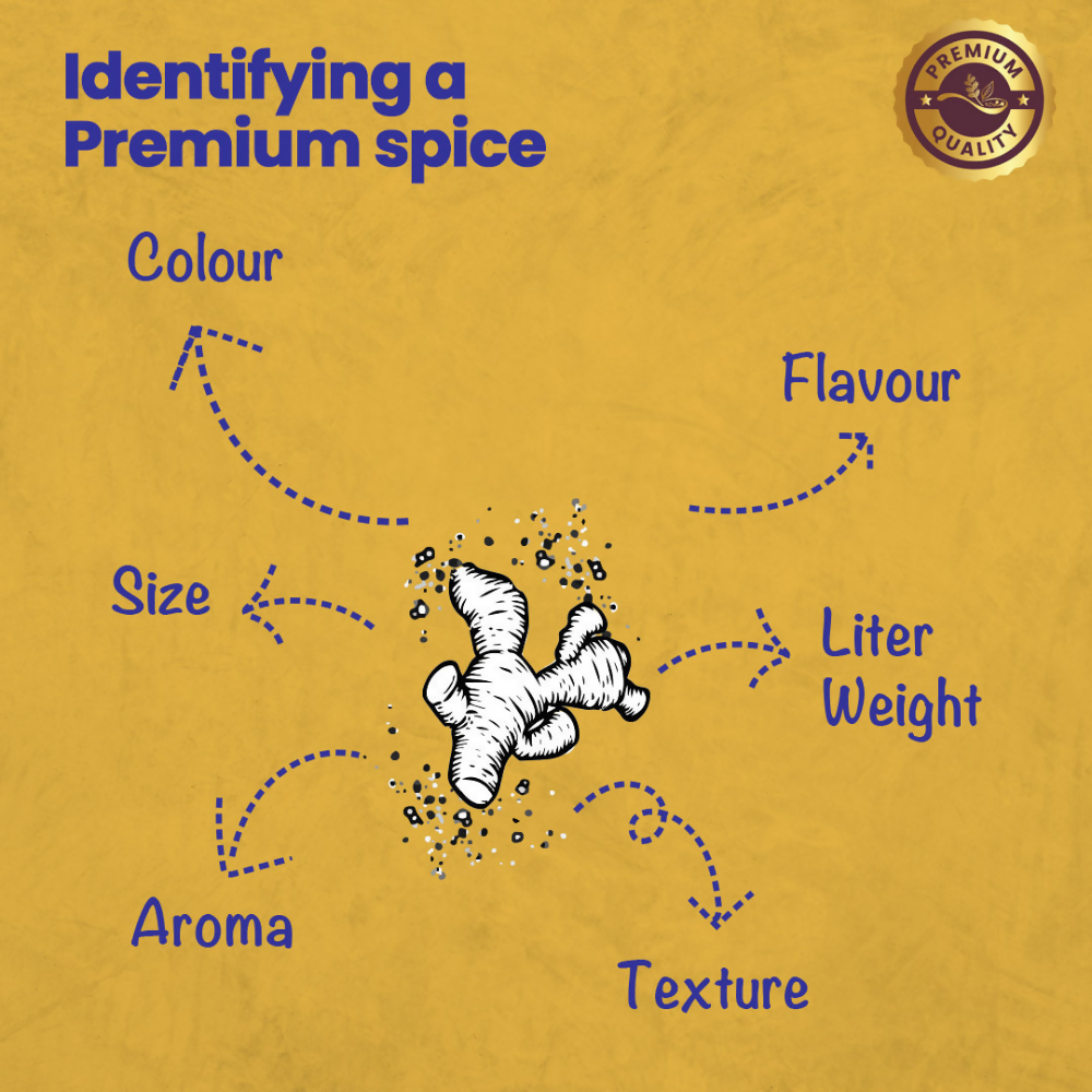 Crista Spices Daily Ground Spices (Masala) Combo Pack - 2 | Grocsy
