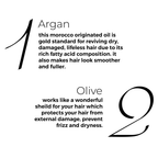 Brillare Argan Hair Oil with the Goodness of Olive oil & Sunflower Oil | Grocsy