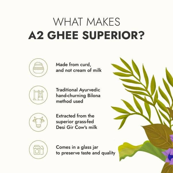 Kapiva A2 Desi Cow Ghee | Pure and Natural Ghee From A2 Cow Milk | Organic Cow Ghee | Grocsy