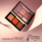 Swiss Beauty Ultimate 9 Pigmented Colors Eyeshadow Palette - 6 | Grocsy