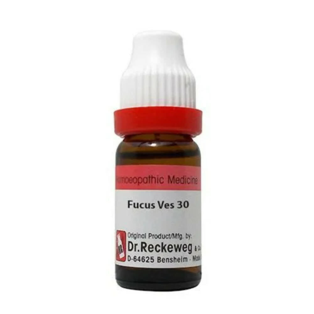 Dr. Reckeweg Fucus Ves Dilution | Grocsy