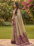 Shree Shyam Fashion Chiku With Purple Cotton Saree | Grocsy