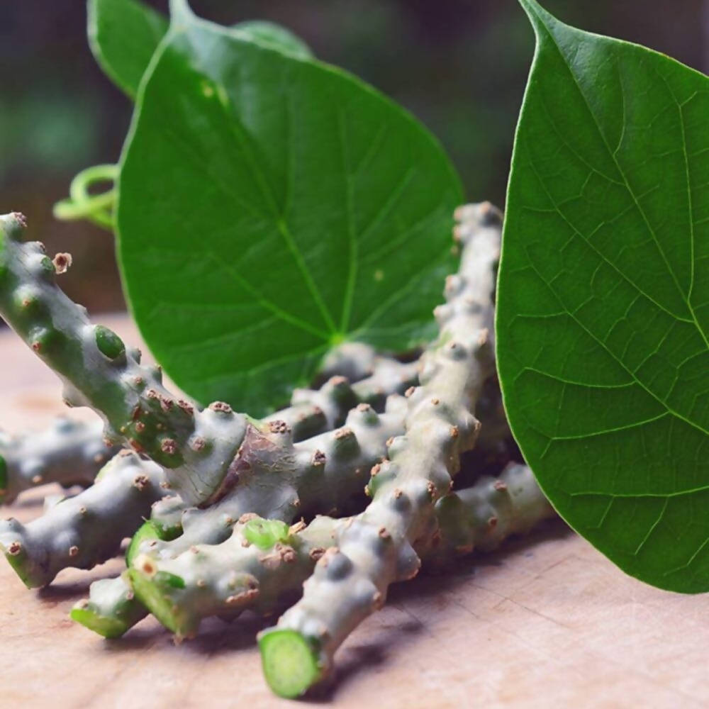 Freshon Amruthaballi Powder | Grocsy