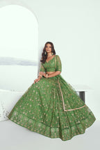Eilara Elegance Pista Green Net With Embroidered And Thread Zari Sequence Function Wear Lehenga Choli | Grocsy