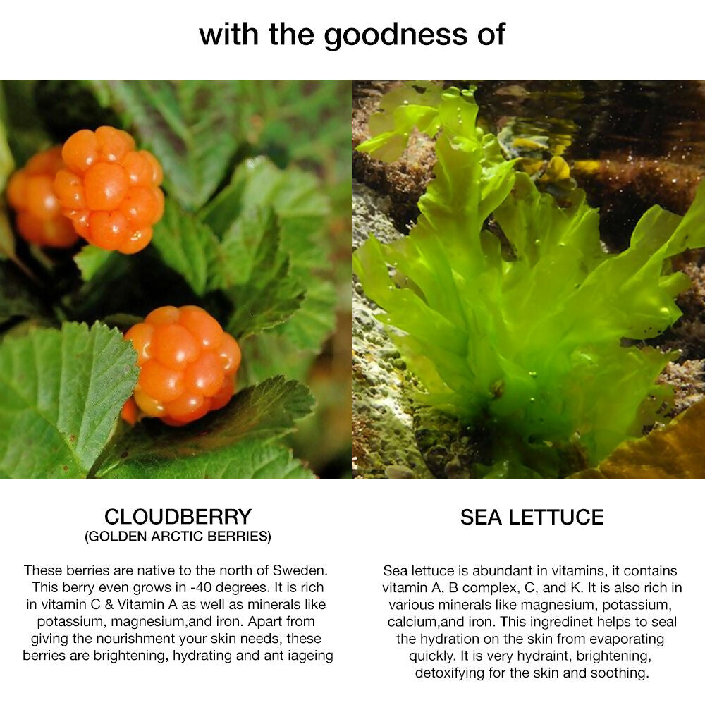Skog Cloudberry Sea Lettuce Hydrating Cream | Grocsy