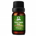 Vital Organics Tea Tree Oil | Grocsy