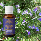 Exotic Aromas Rosemary Oil for Hair Growth, Skin | Grocsy