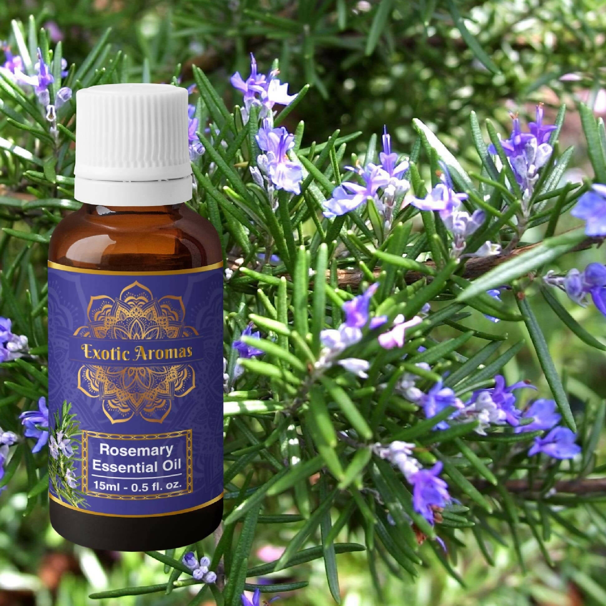Exotic Aromas Rosemary Oil for Hair Growth, Skin | Grocsy