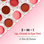 The Skin Story 100% Natural Lip Cheek Eye Tint Ayurvedic Hibiscus Moisturizing Glow - Pretty Pink | Grocsy
