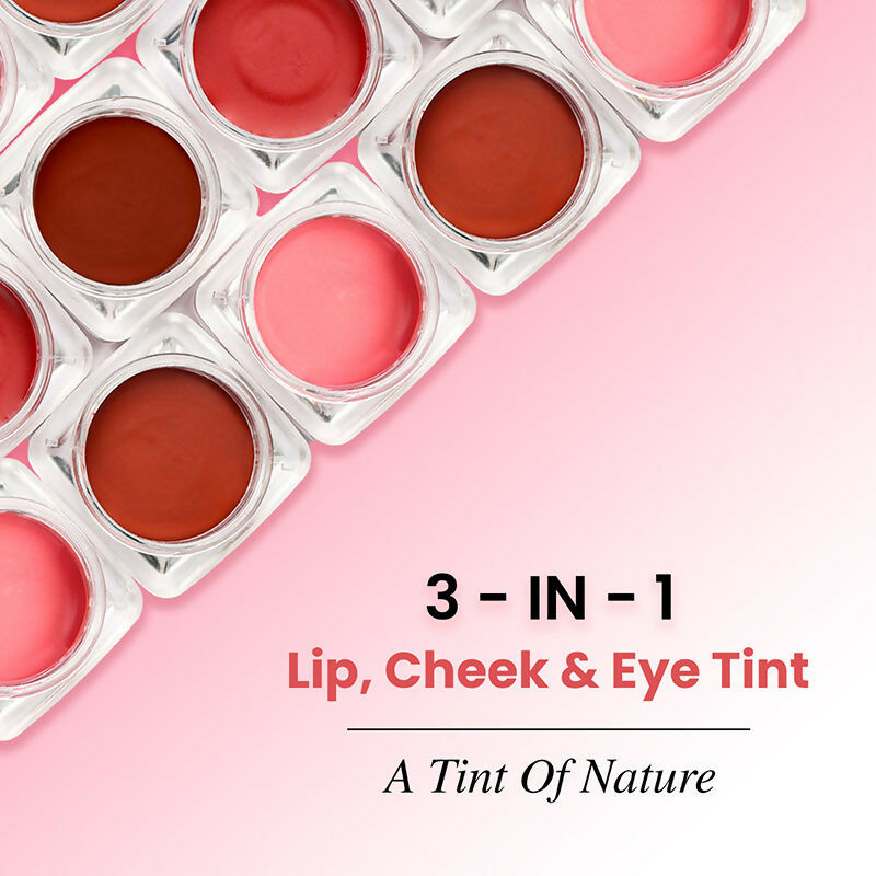 The Skin Story 100% Natural Lip Cheek Eye Tint Ayurvedic Hibiscus Moisturizing Glow - Pretty Pink | Grocsy