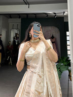 Lorenvalley Off White Pure Shimmer With Weaving Work with Mirror And Beads (Moti) Hand Work Lehenga Choli | Grocsy