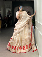 Lorenvalley Off White Pure Shimmer With Weaving Work with Mirror And Beads (Moti) Hand Work Lehenga Choli | Grocsy