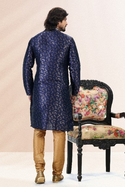 Raivat Ethnic Jacquard Banarasi Silk Pintux Work Kurta Pajama In Blue Colour | Grocsy