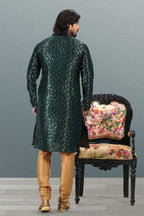 Raivat Ethnic Jacquard Banarasi Silk Pintux Work Kurta Pajama In Green Colour | Grocsy