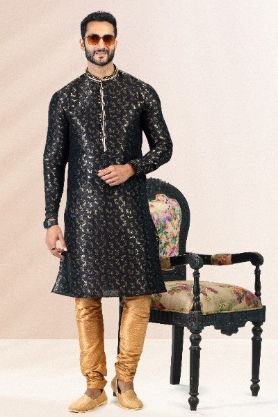 Raivat Ethnic Jacquard Banarasi Silk Pintux Work Kurta Pajama In Black Colour | Grocsy