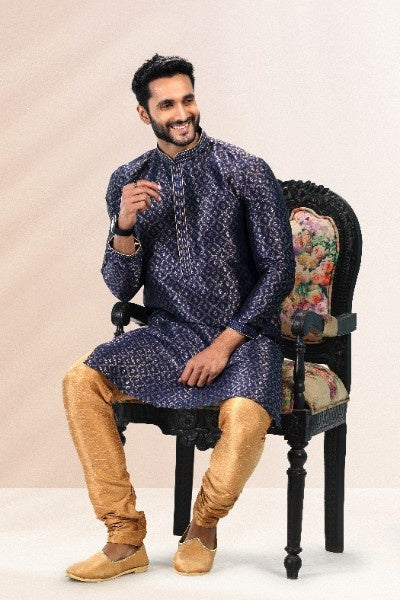 Raivat Ethnic Jacquard Banarasi Silk Pintux Work Kurta Pajama In Blue Colour | Grocsy