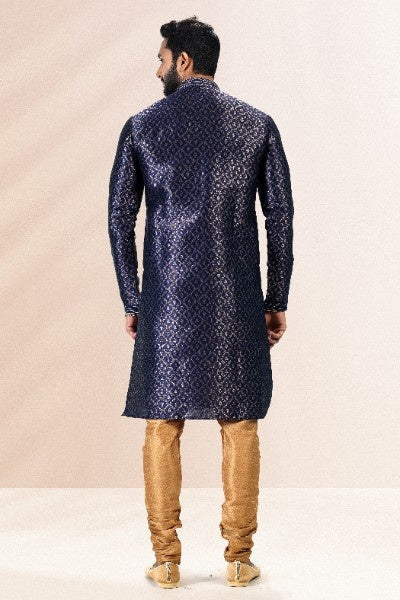 Raivat Ethnic Jacquard Banarasi Silk Pintux Work Kurta Pajama In Blue Colour | Grocsy