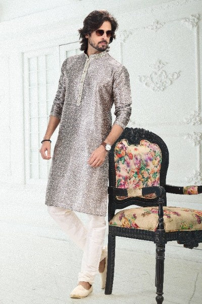 Raivat Ethnic Banarasi Silk Pintux Work Kurta Pajama In Grey Colour | Grocsy