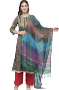 A R Silk Women's Katan Silk Multi Dye Multi Rainbow Regular Dupatta | Grocsy