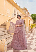 Anaita Purple Net Lehenga Choli With Embroidery & Sequence Work | Grocsy