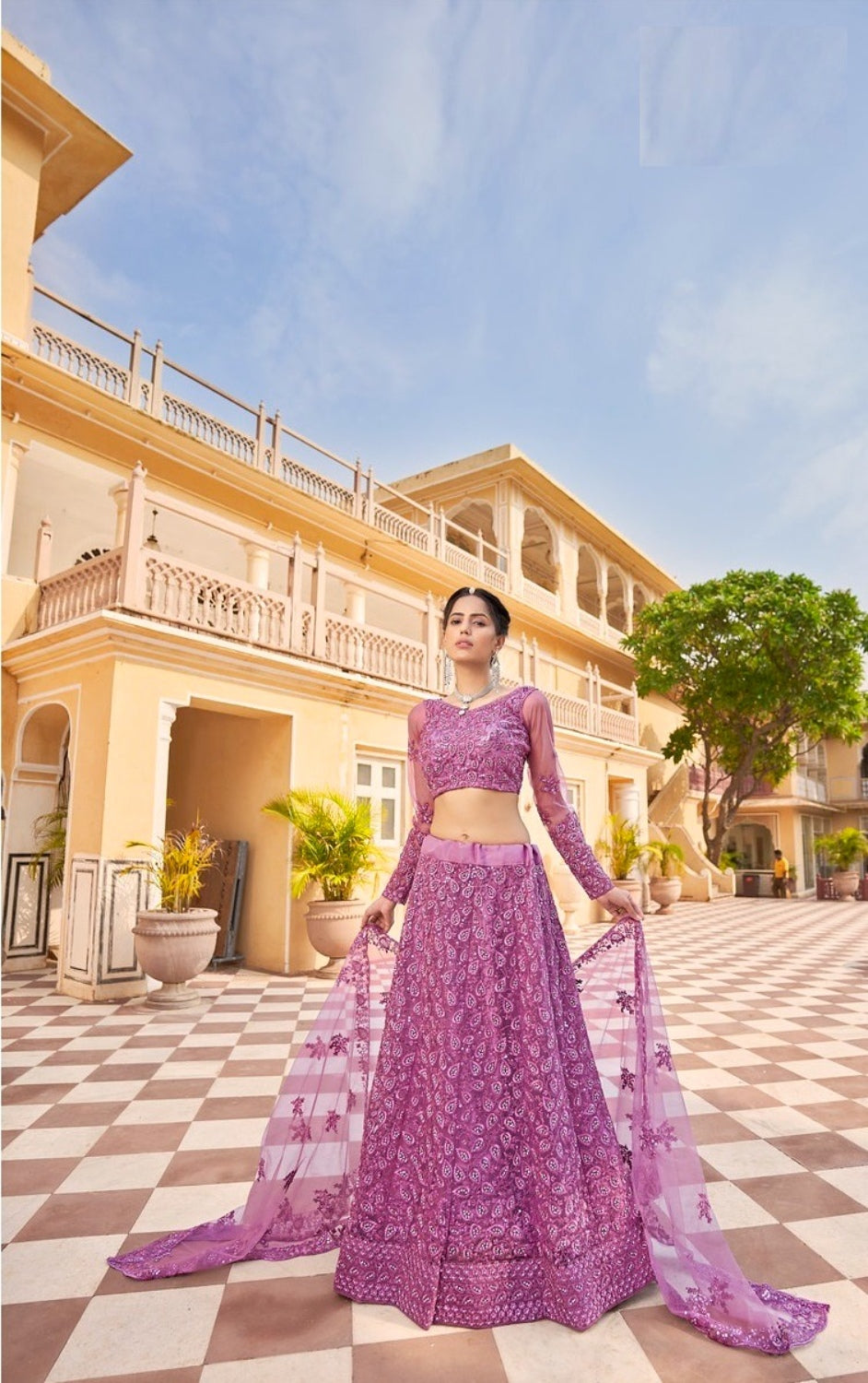 Anaita Purple Net Lehenga Choli With Embroidery & Sequence Work | Grocsy