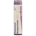 Boiron Homeopathy Gelsemium Sempervirens | Grocsy