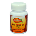 Agnivesh Basant Malti Ras (With Gold) | Grocsy