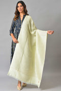 W for Woman Light Green Stripe Lurex Shawl | Grocsy