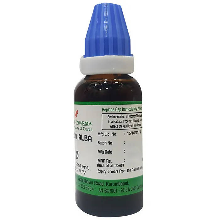 Hering Pharma Bryonia Alba Mother Tincture Q | Grocsy