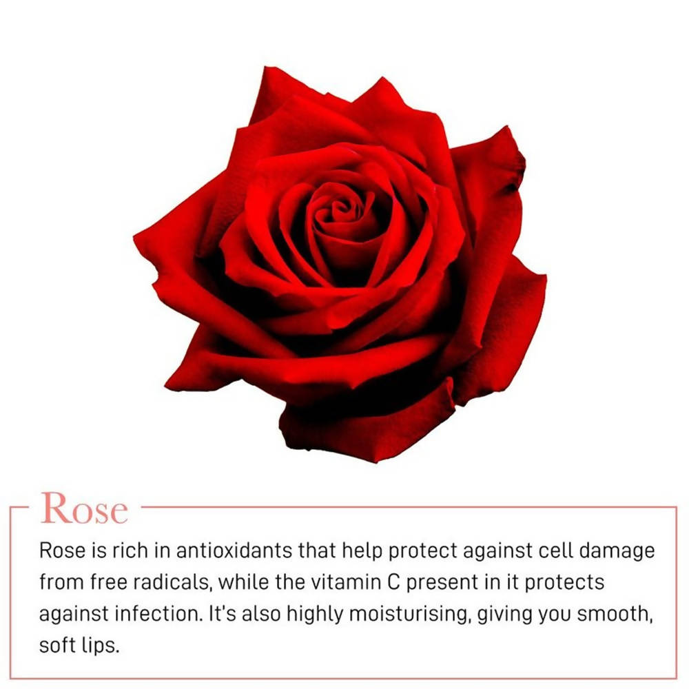 Manish Malhotra Rose Lip Moisturising Gel | Grocsy
