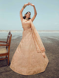 Myra Peach Organza Embroidered Designer Lehenga Choli | Grocsy