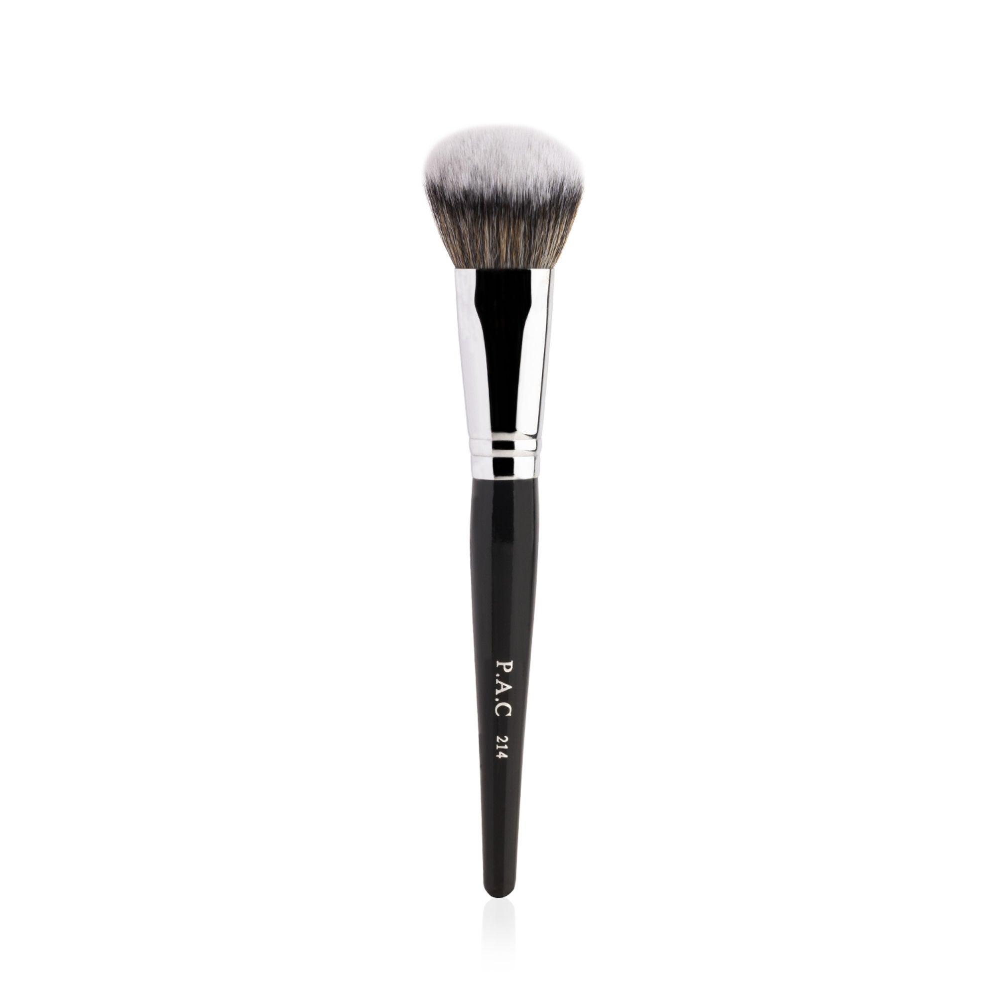 PAC Studio Spotlight Blush and Brush Combo | Grocsy