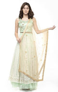 A R Silk Women's Net Net Chandna Handwork With Moti Laish Golden Fancy Dupatta | Grocsy