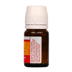 Dr. Willmar Schwabe India Germany Bio-Plasgen 20 Tablets | Grocsy