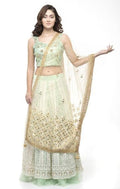 A R Silk Women's Net Original Shisha Emb. Golden Fancy Dupatta | Grocsy